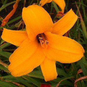 Meet your Posher, Posh